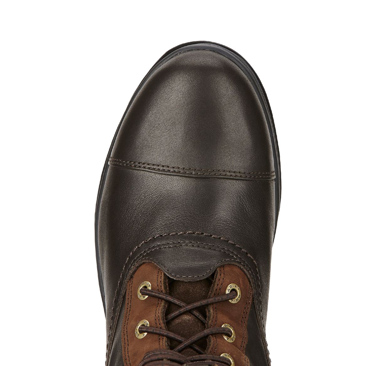 Skodon Ariat coniston pro gore-tex isolerad stövel ebenholts kvinnor F04842336