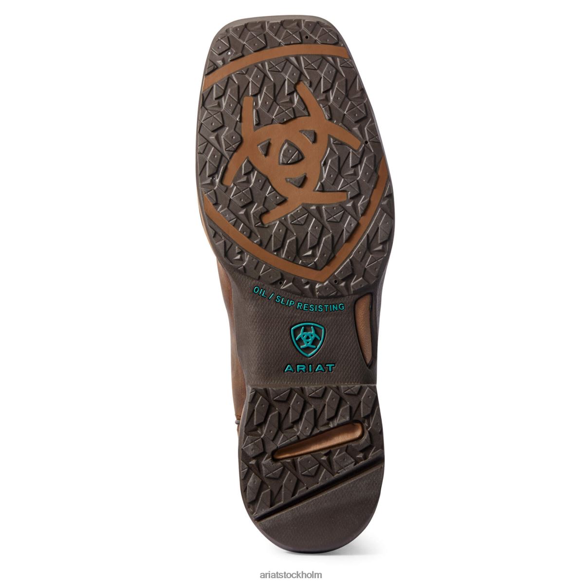 Skodon Ariat Anthem venttek komposittå arbetsstövel kunglig choklad kvinnor F04842255