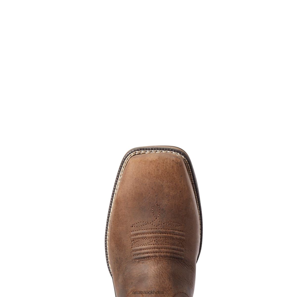 Skodon Ariat Anthem venttek komposittå arbetsstövel kunglig choklad kvinnor F04842255