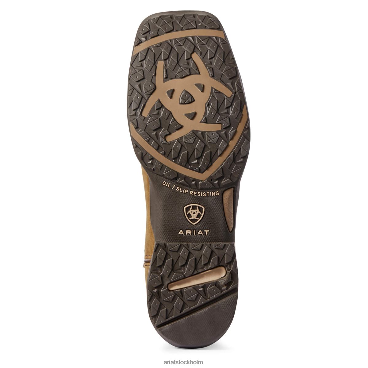 Skodon Ariat anthem vattentät komposittå arbetsstövel bedrövad brun kvinnor F04842223