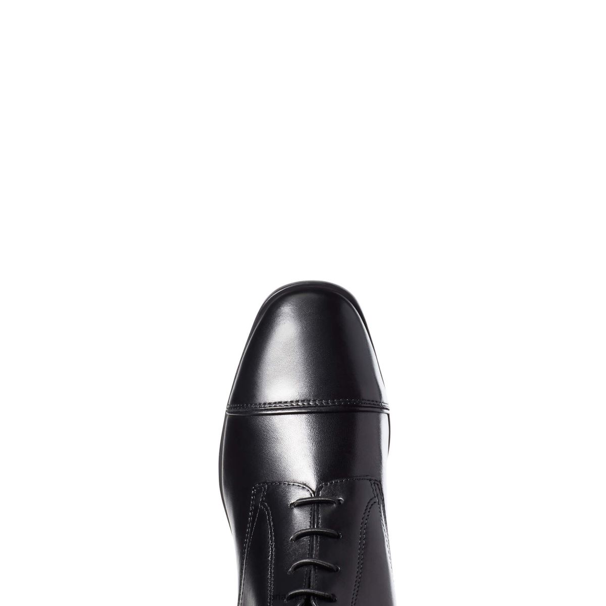 Skodon Ariat palisad hög ridstövel svart kvinnor F04842315