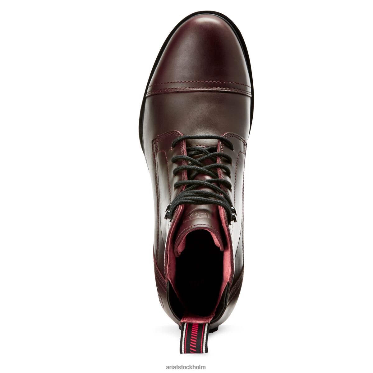 Skodon Ariat performer nitro paddock stövel vaxad choklad kvinnor F04842334