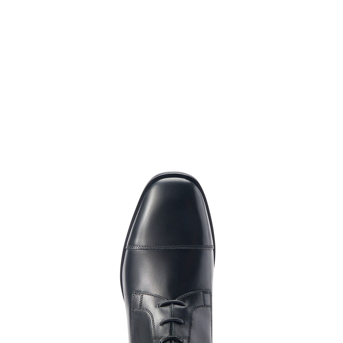 Skodon Ariat ravello hög ridstövel svart kalv kvinnor F04842317