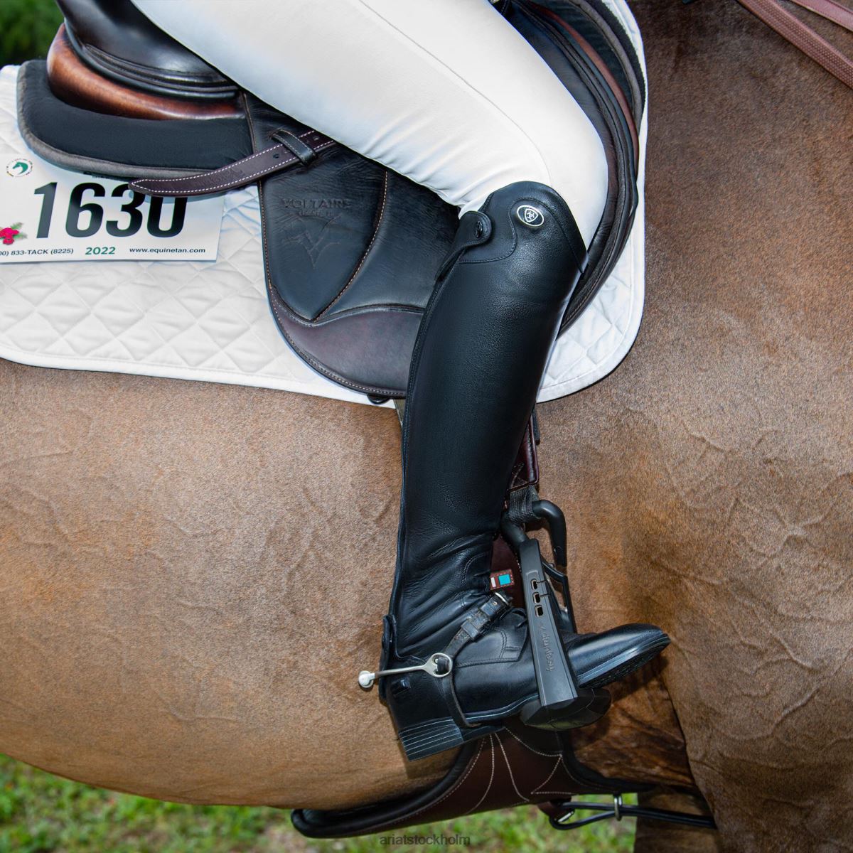 Skodon Ariat ravello hög ridstövel svart kalv kvinnor F04842317