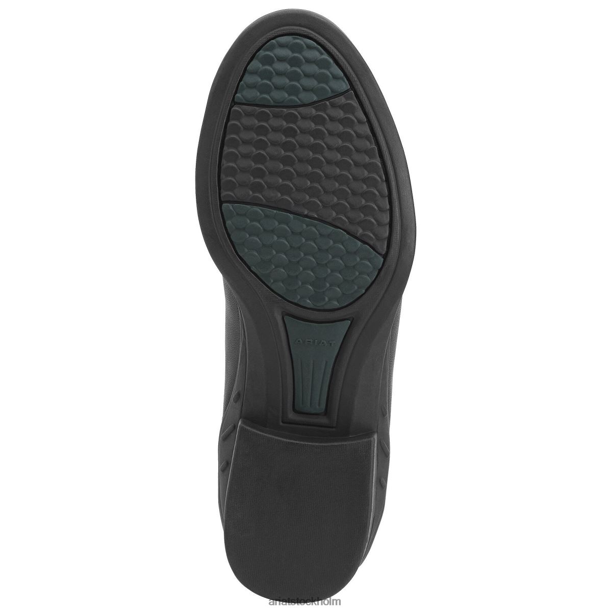 Skodon Ariat scout zip paddock boot svart kvinnor F04842335