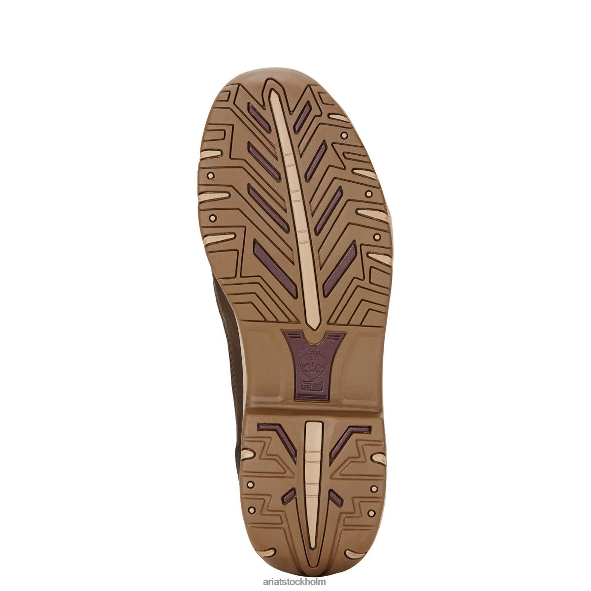 Skodon Ariat telluride ii h2o mörkbrun kvinnor F04842345