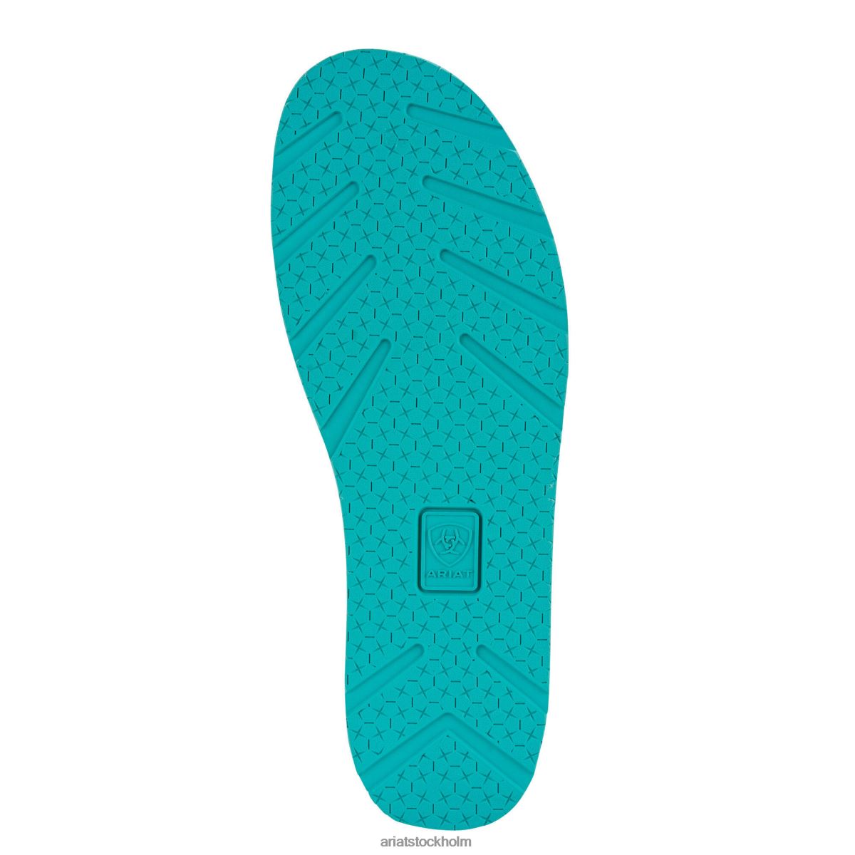 Skodon Ariat kryssare 2 gepard kvinnor F04842441