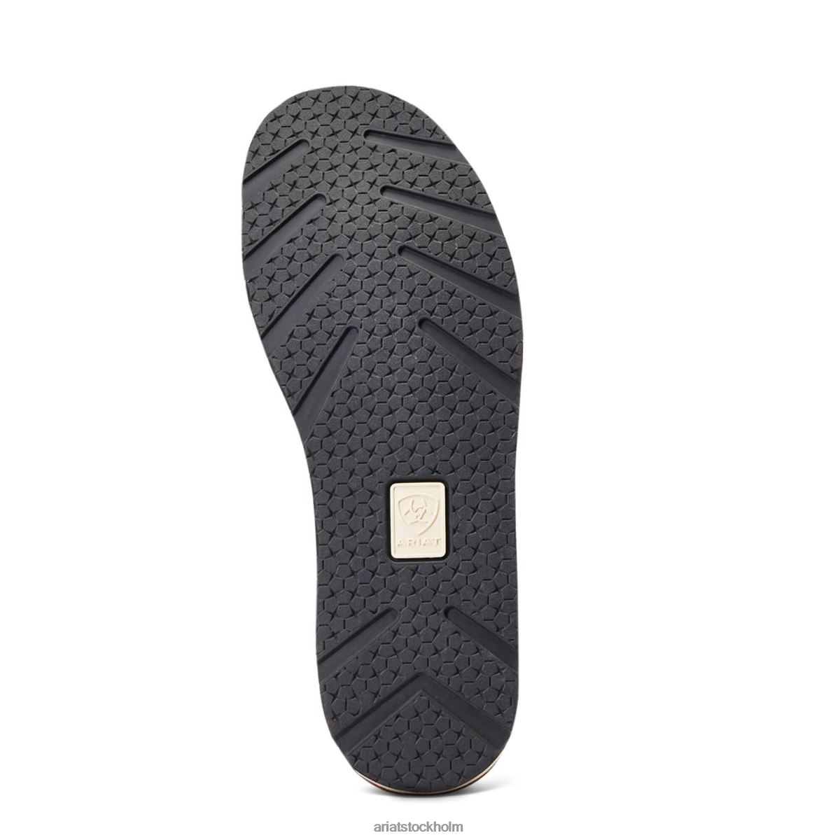 Skodon Ariat kryssare 2 jordnöt kvinnor F04842442