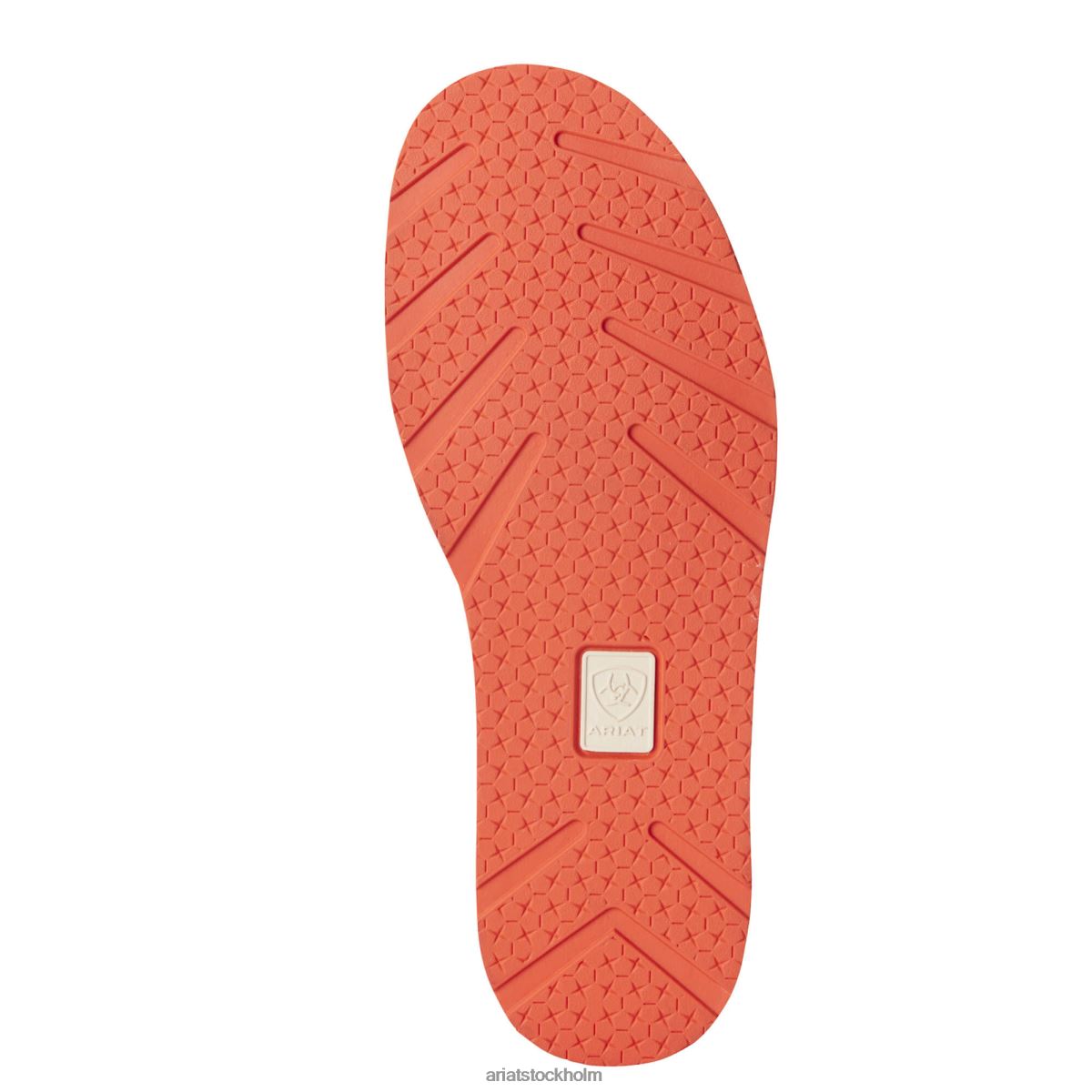 Skodon Ariat kryssare 3 chokladfudge kvinnor F04842464