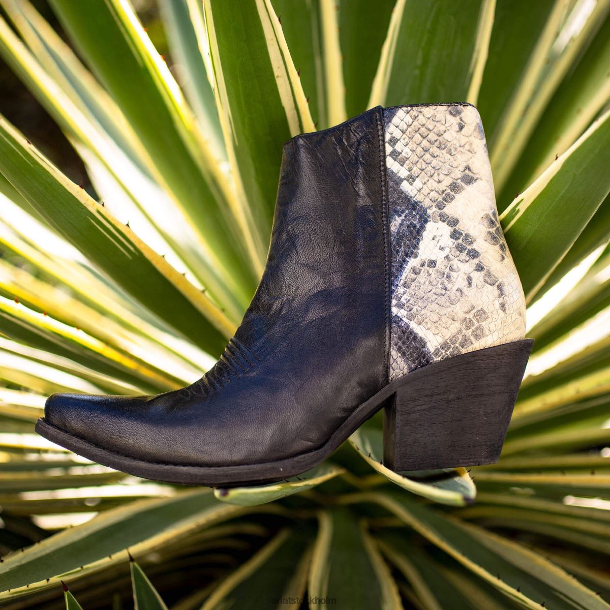 Skodon Ariat carmelita westernstövel helt svart kvinnor F04842286