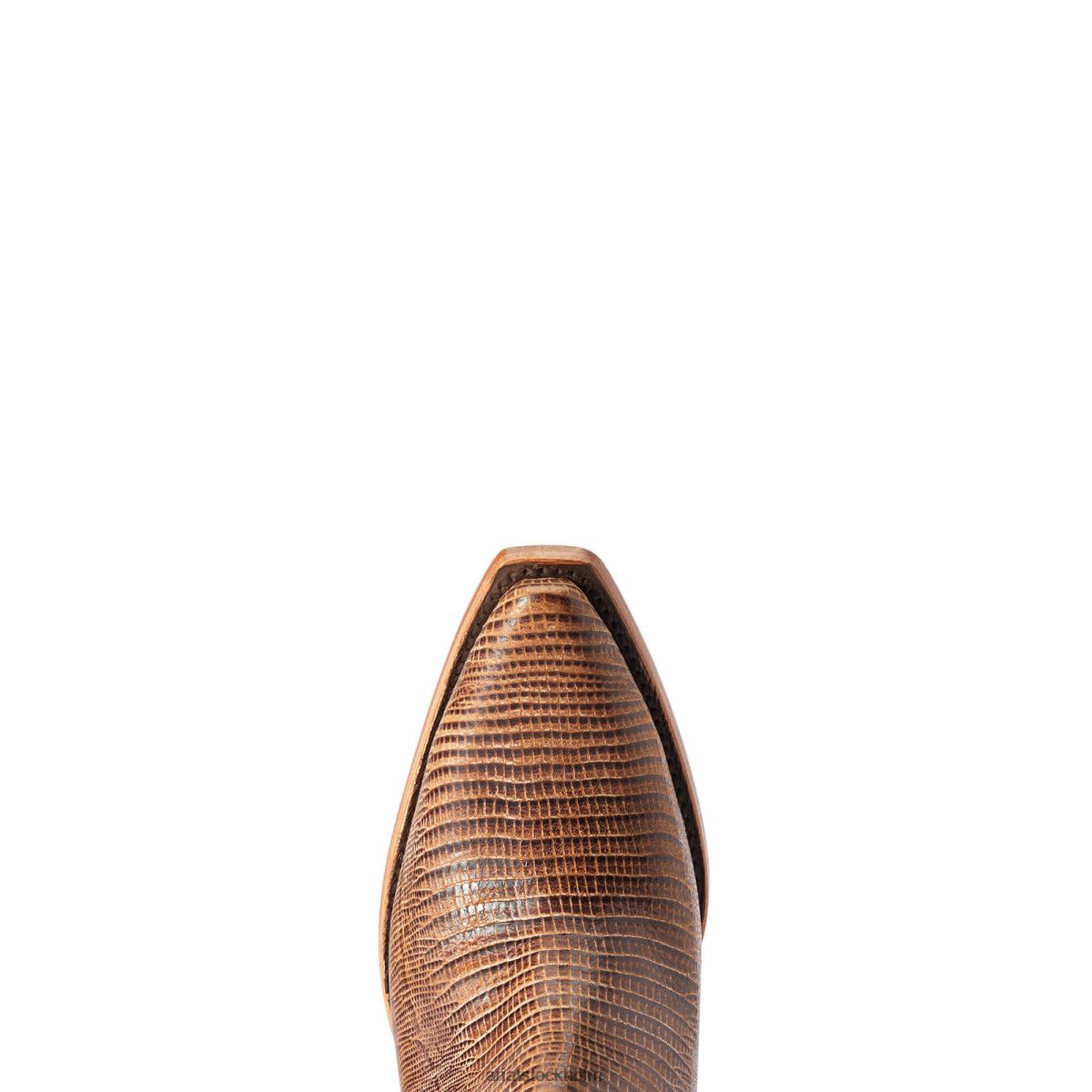 Skodon Ariat dixon western stövel brunt ödlatryck kvinnor F04842210