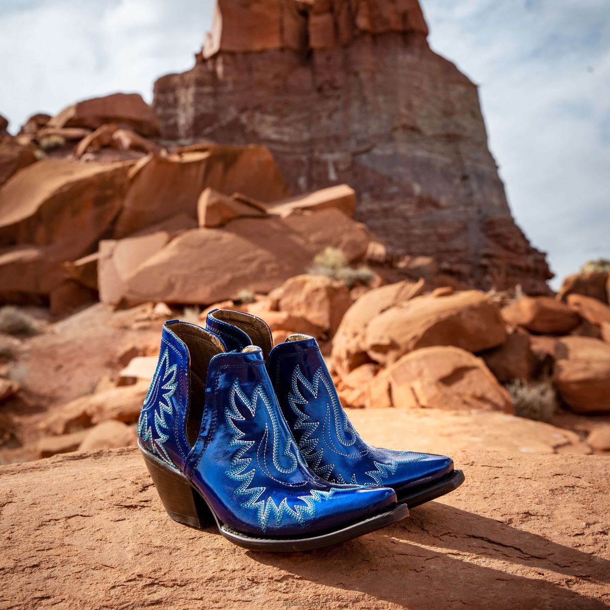 Skodon Ariat dixon western stövel sin City kvinnor F04842212