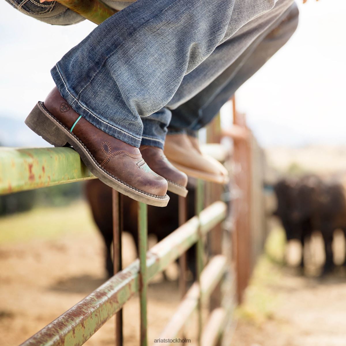Skodon Ariat fatbaby heritage dapper westernstövel kunglig choklad kvinnor F04842157