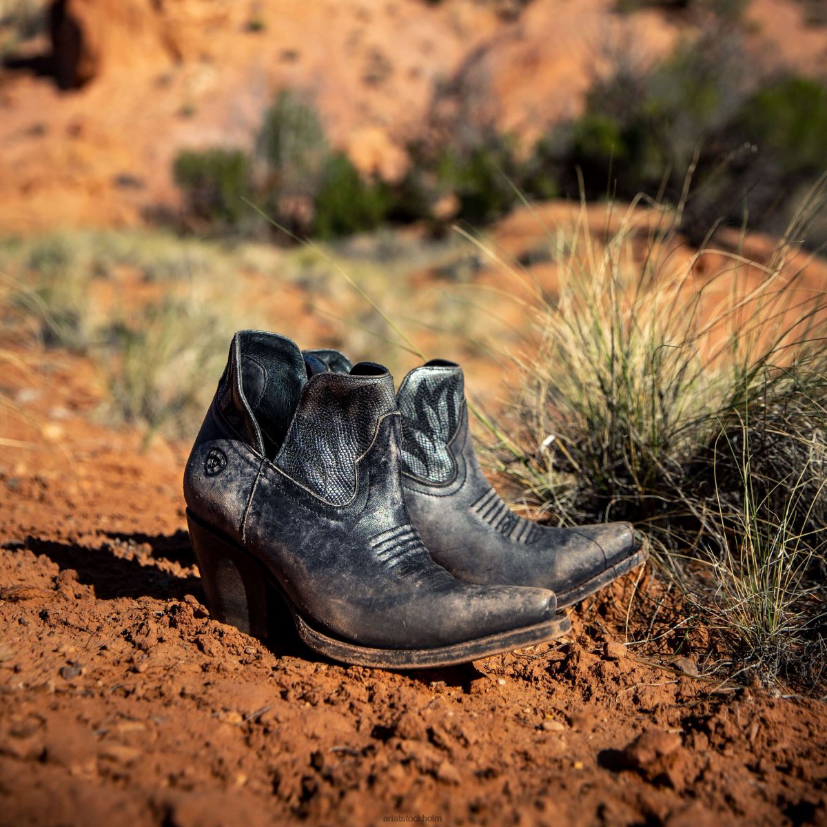 Skodon Ariat hasselbrun westernstövel naturligt bedrövad svart kvinnor F04842236