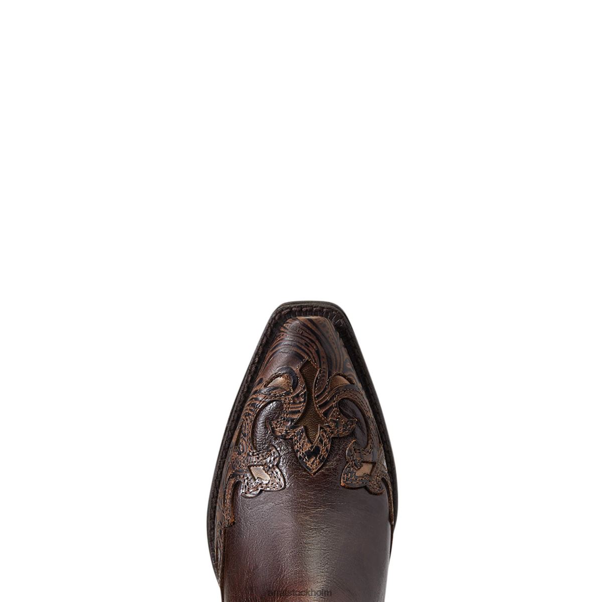 Skodon Ariat patsy westernstövel decedance kvinnor F04842312