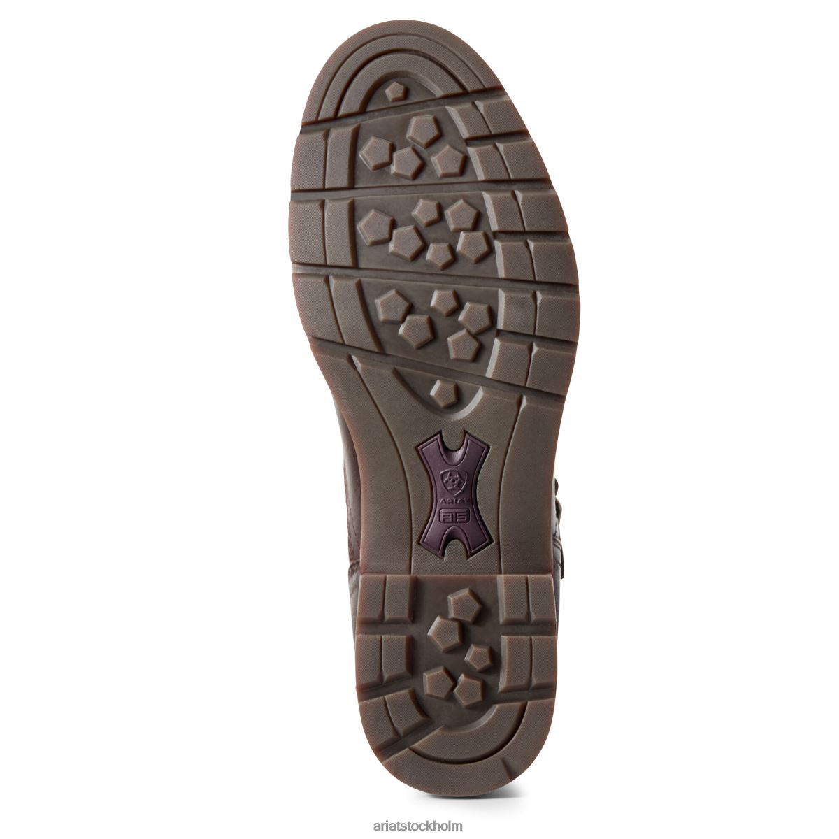 Skodon Ariat vattentät savannkänga choklad/pil kvinnor F04842288