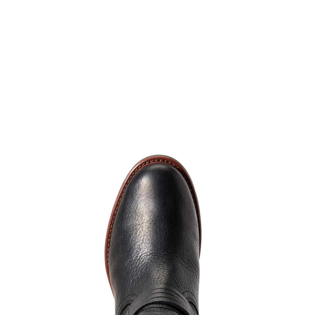 Skodon Ariat vattentät savannkänga svart kvinnor F04842301