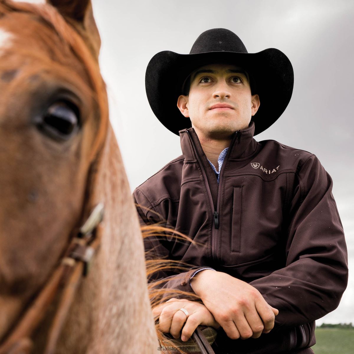 blast Ariat vernon 2.0 softshelljacka kaffeböna män F04841542