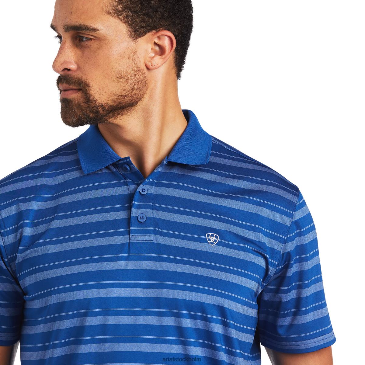 blast Ariat ombre stripe ftd polo monaco blå män F0484628