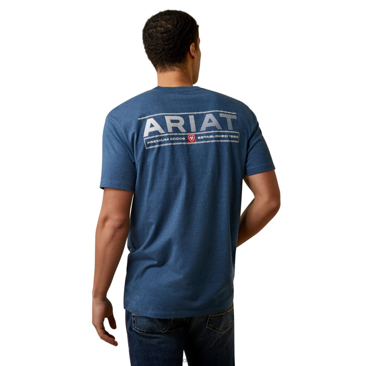blast Ariat daytona ränder t-shirt sjömansblå ljung män F0484928