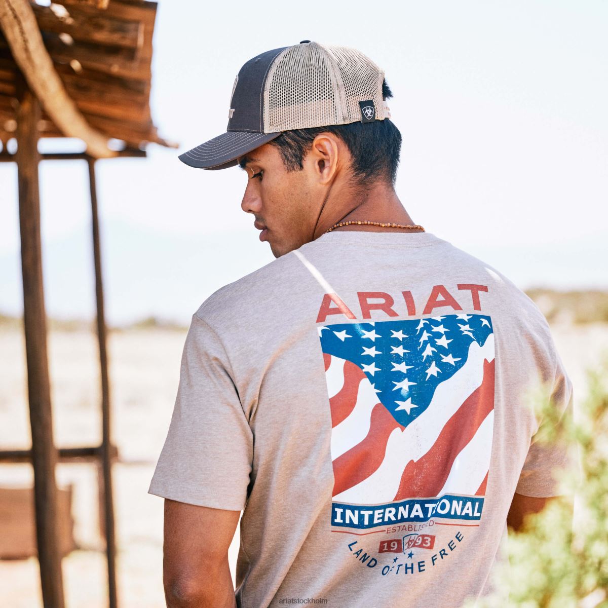 blast Ariat flagga flow t-shirt havregrynsljung män F0484682