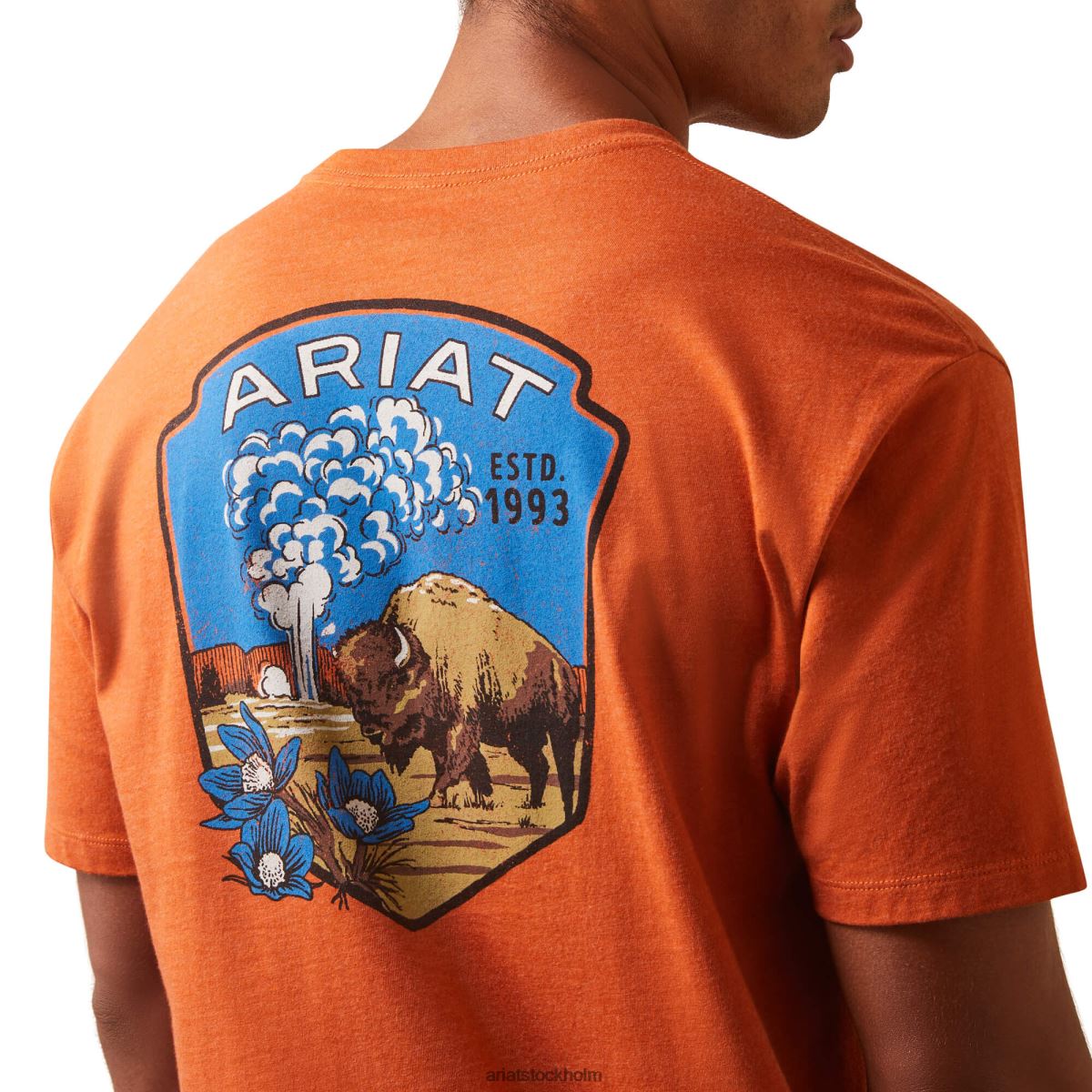 blast Ariat gammal trogen t-shirt adobe ljung män F0484760