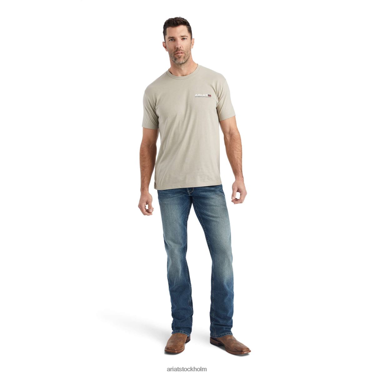 blast Ariat horisontell t-shirt khaki ljung män F0484609