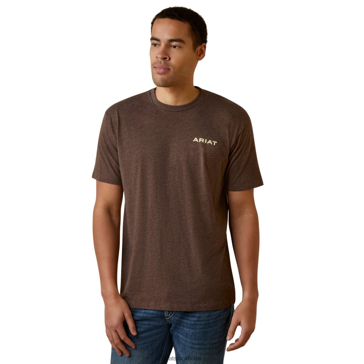 blast Ariat retro randig t-shirt brun ljung män F0484934