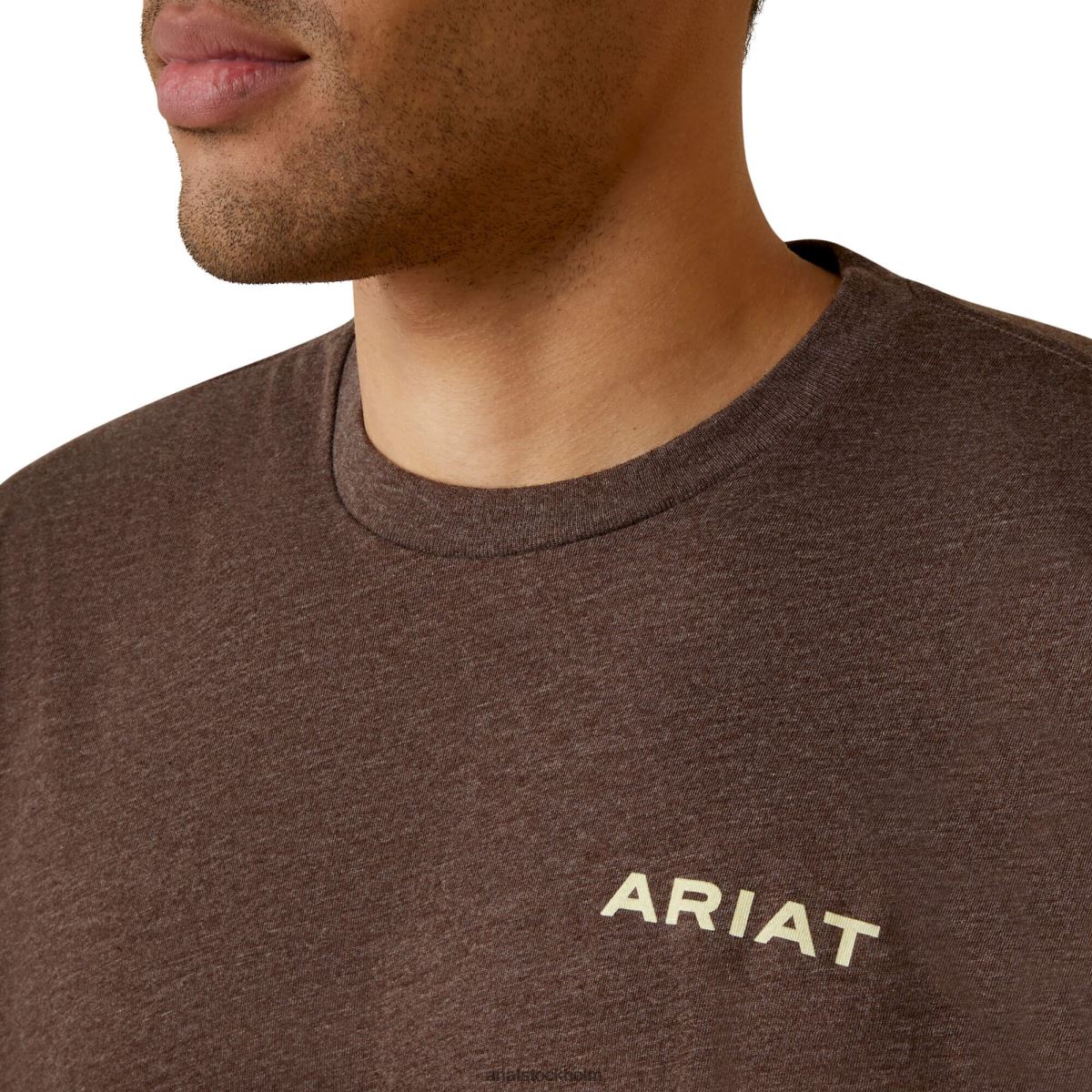 blast Ariat retro randig t-shirt brun ljung män F0484934