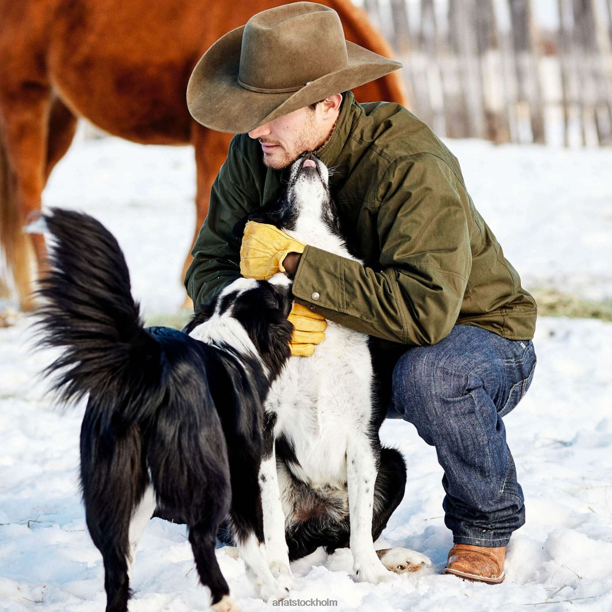 bottnar Ariat fr m4 låg resp. jeans med stretch och stövlar Skölj män F04841715