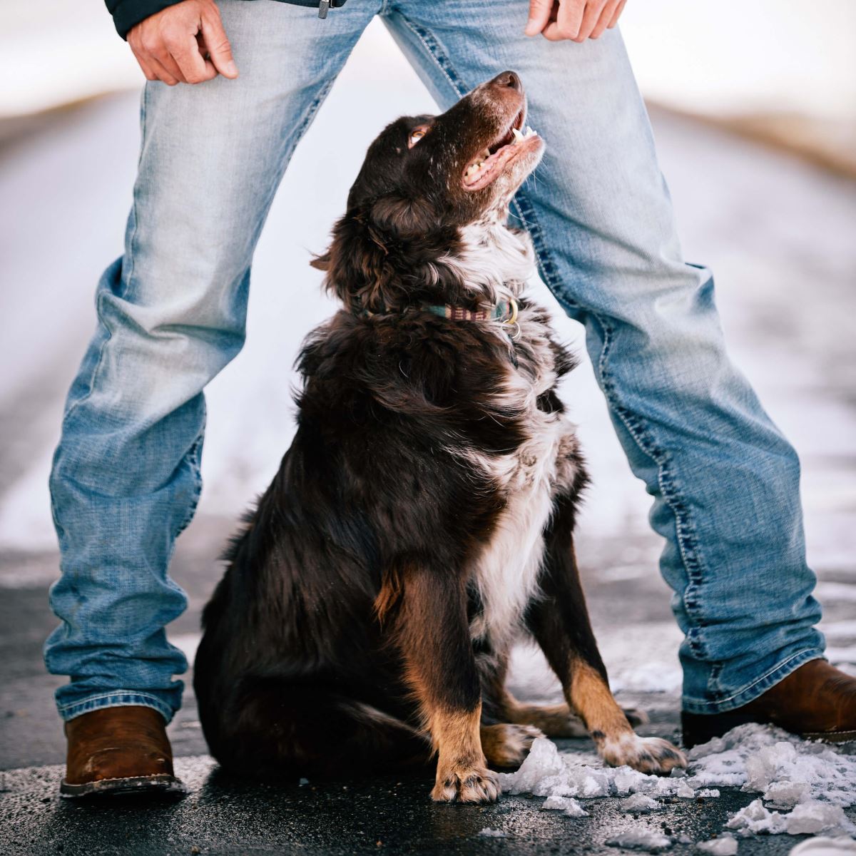 bottnar Ariat m2 avslappnad stirling stretch jean med boot cut shasta män F0484489