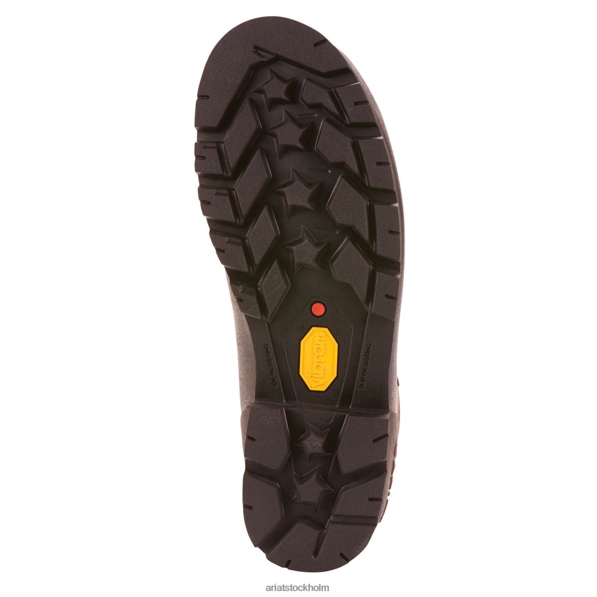 Skodon Ariat linesman ridge 6\" gore-tex komposittå arbetsstövel bitterbrunt män F0484338