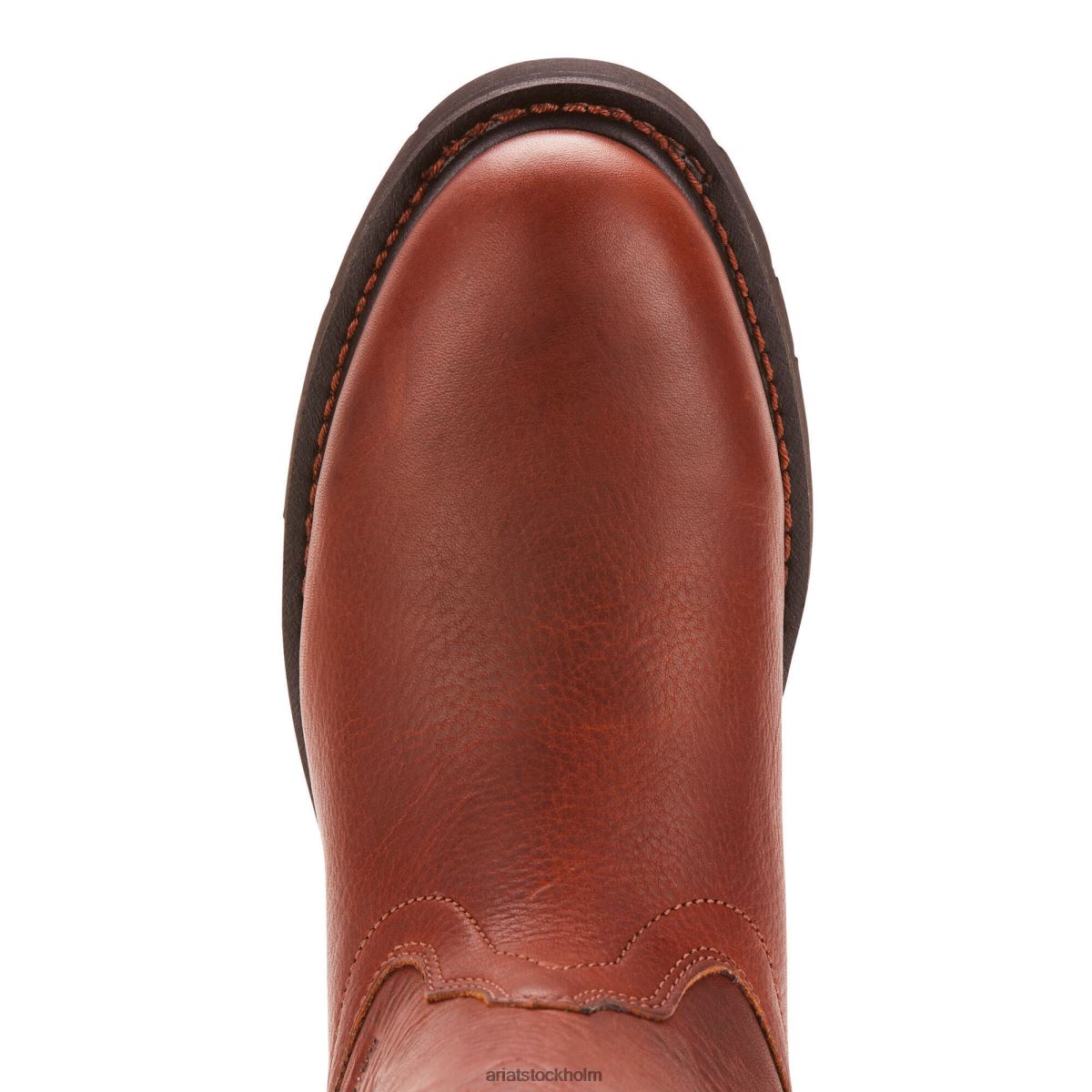 Skodon Ariat sierra vattentät arbetsstövel solsken män F0484314