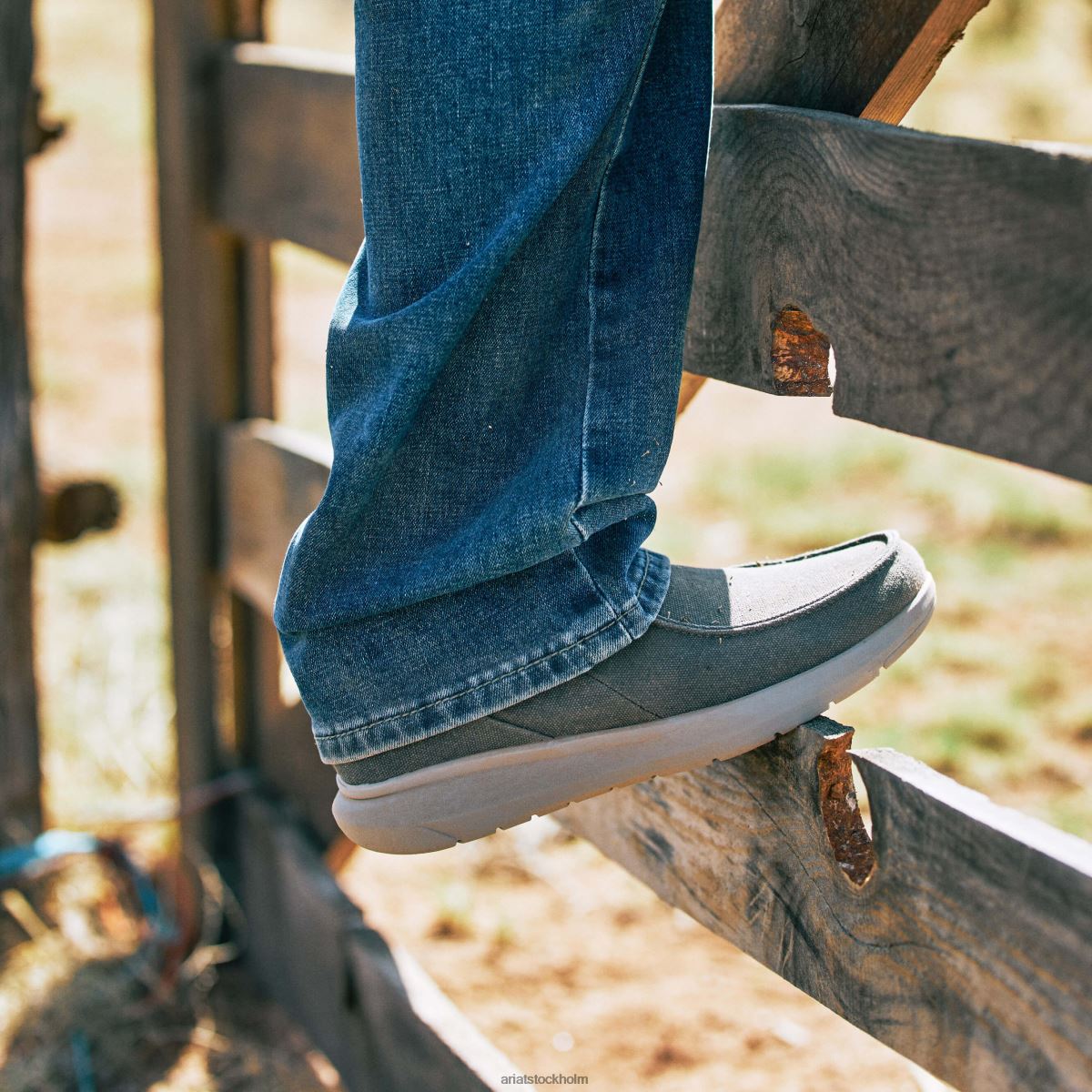 Skodon Ariat hilo mid twin gore Kolgrå män F0484440