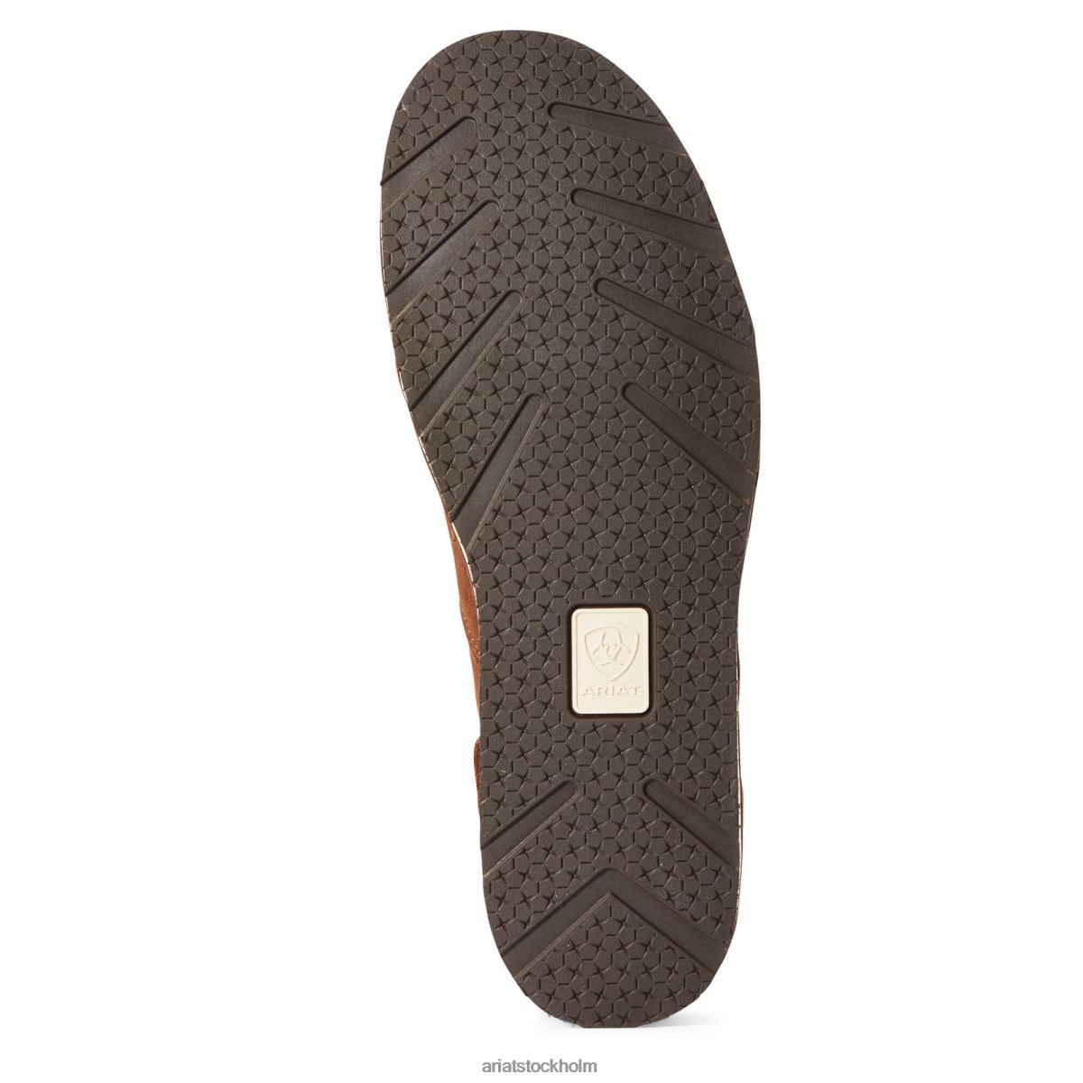 Skodon Ariat kryssare 1 bedrövad brun män F0484417