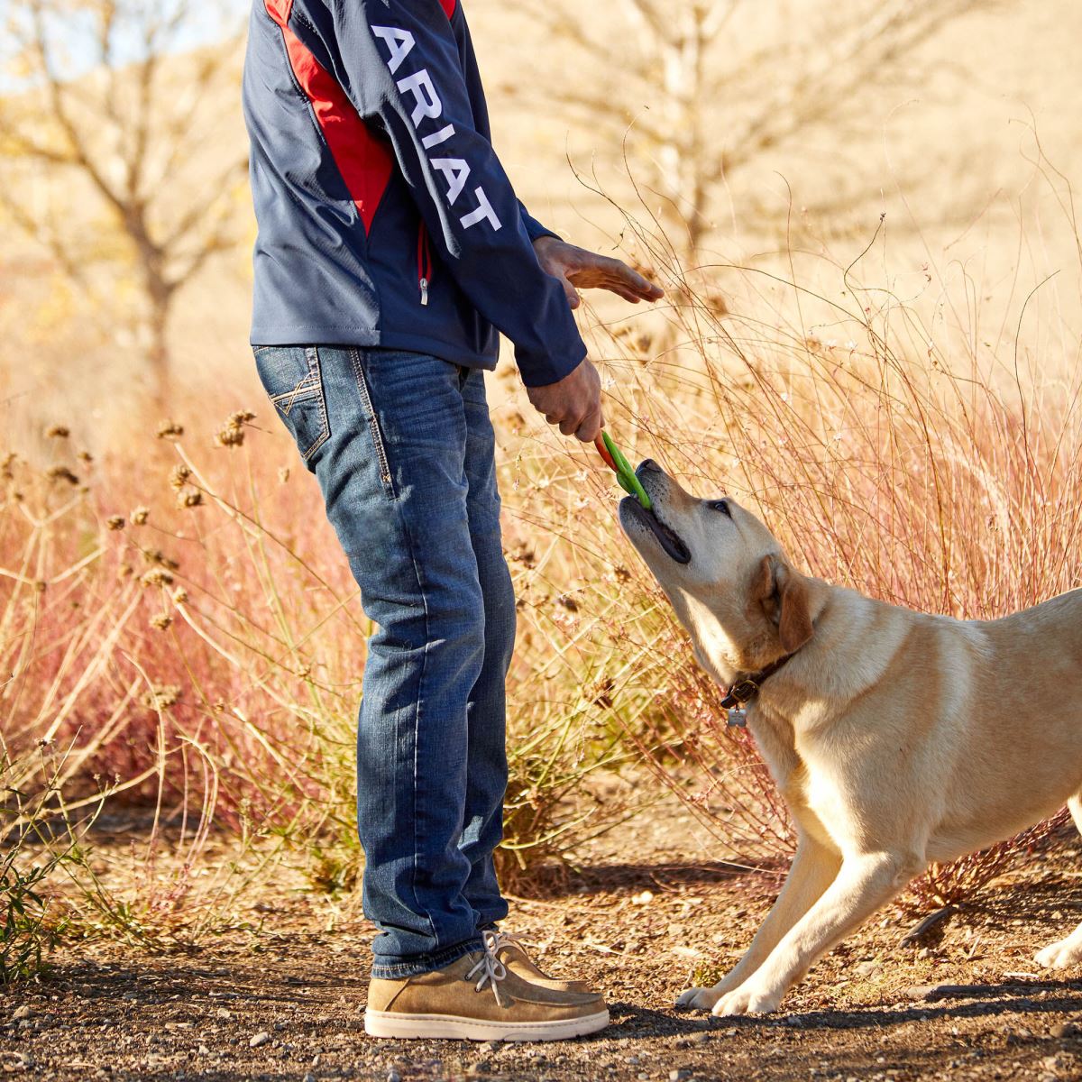 Skodon Ariat kryssare 1 grov ek män F0484430