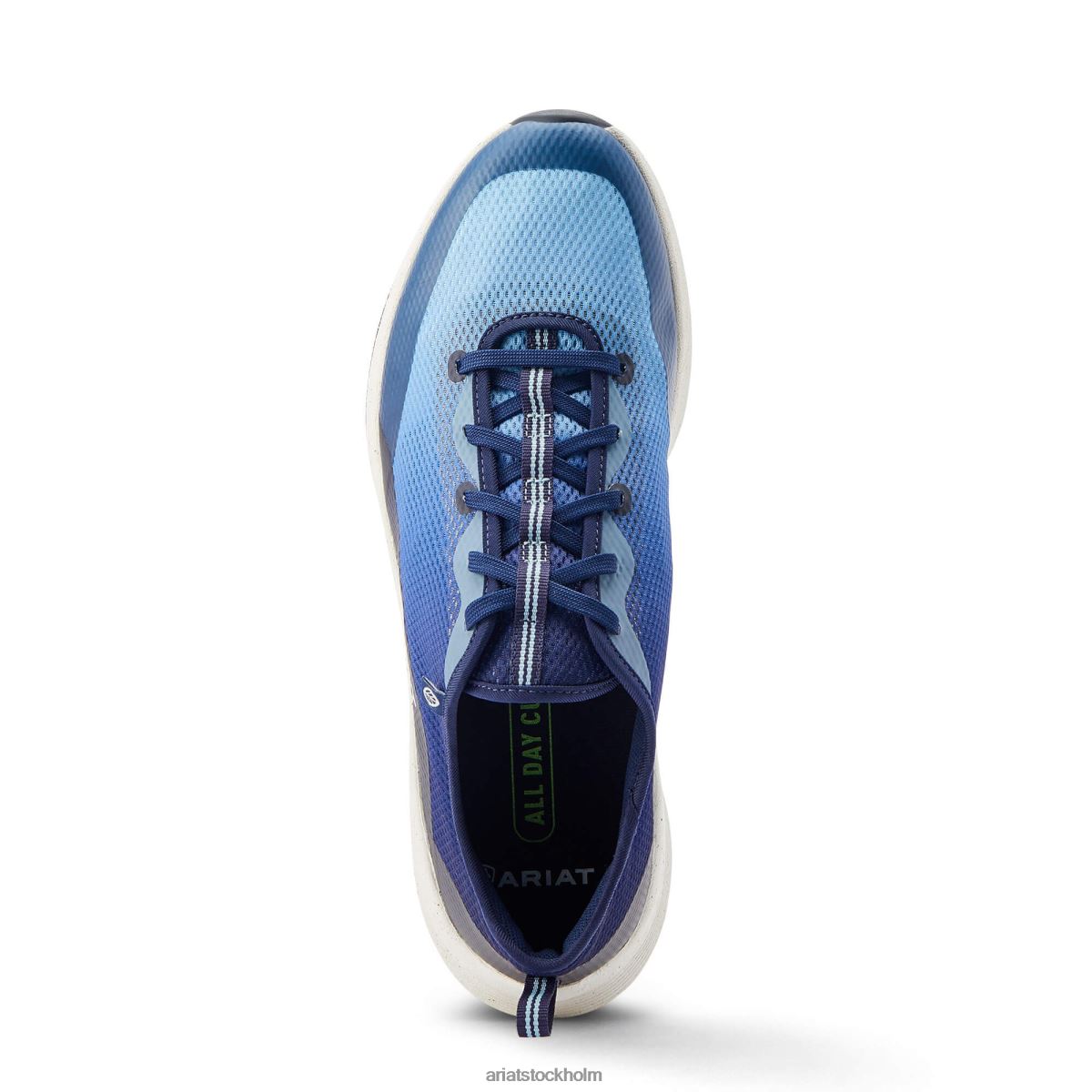 Skodon Ariat shiftrunner blå vågor män F0484374