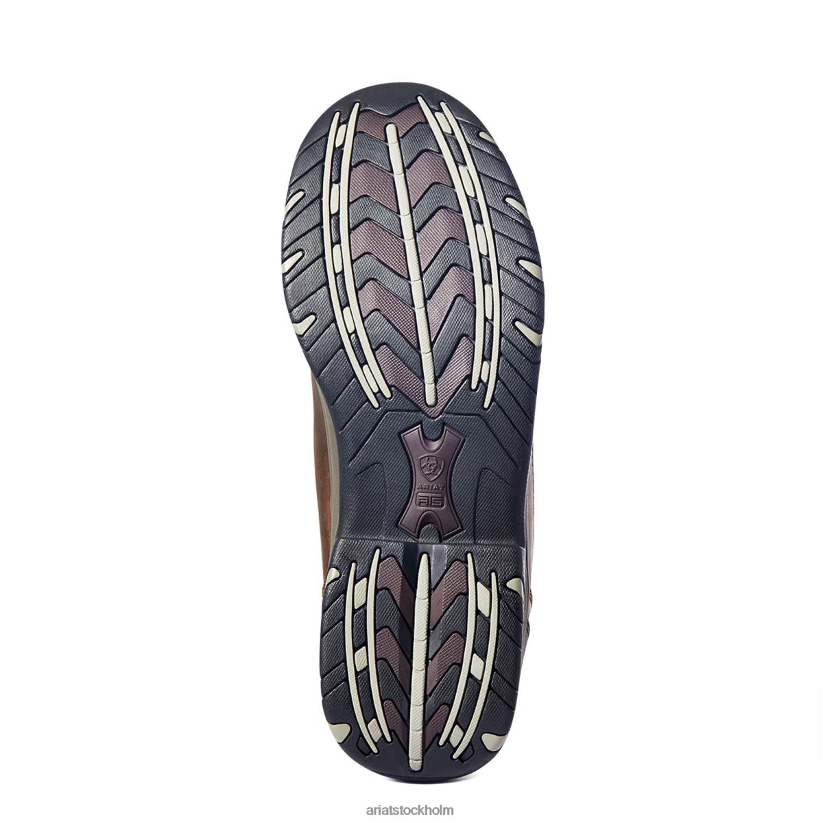 Skodon Ariat terräng bedrövad brun män F0484145