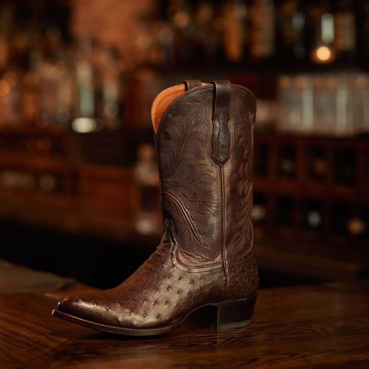 Skodon Ariat james espresso full quill struts män F0484182