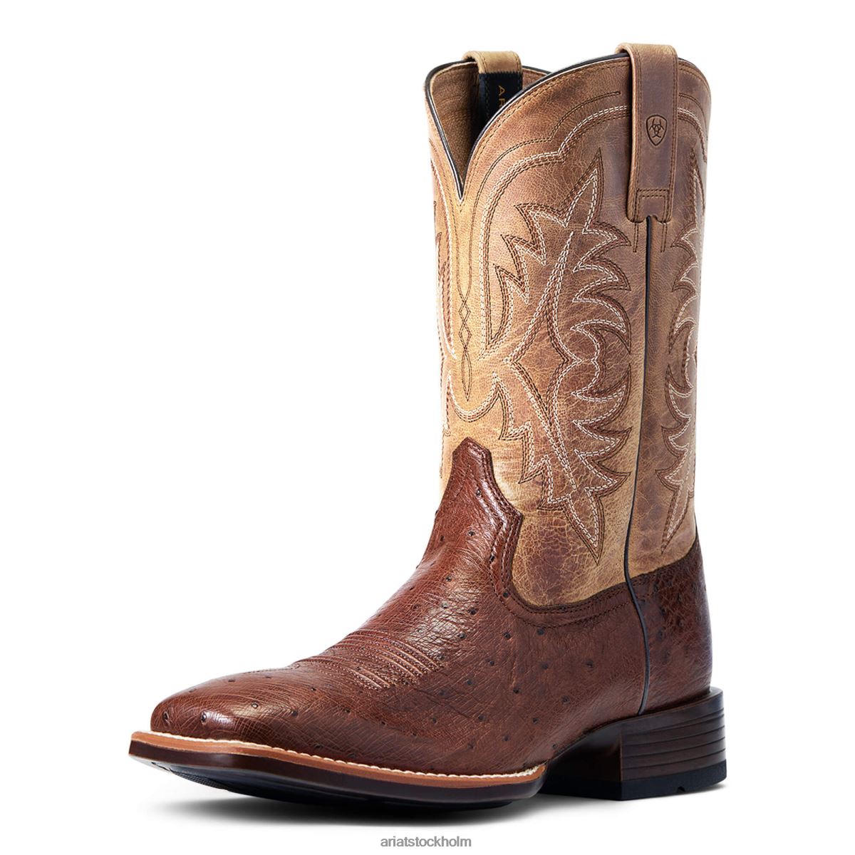 Skodon Ariat nattliv ultra western boot antik tabac sq struts män F0484159