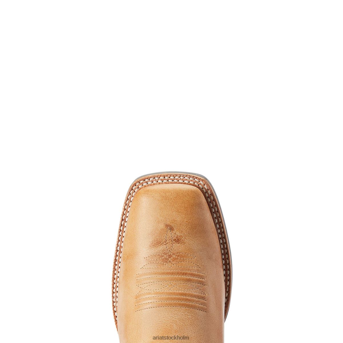 Skodon Ariat ridin hög westernstövel ökenbrun män F048420