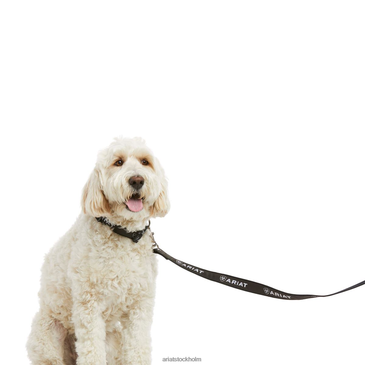 Tillbehör Ariat hundkoppel svart/armeringsjärn grå unisex- F04842013