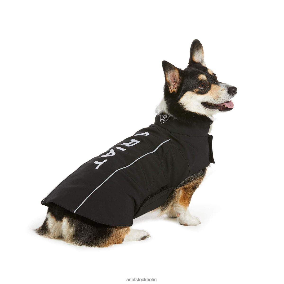 Tillbehör Ariat team softshell hundjacka svart unisex- F04842008
