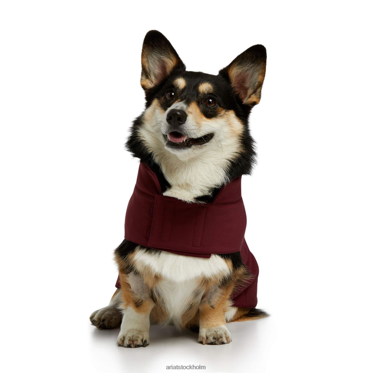 Tillbehör Ariat team softshell hundjacka windsor vin unisex- F04842011