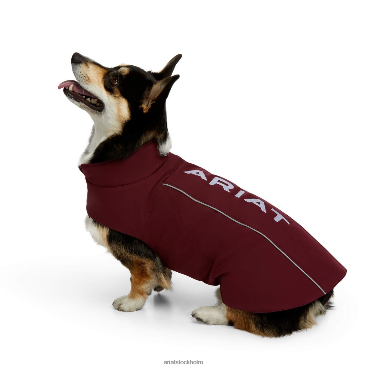 Tillbehör Ariat team softshell hundjacka windsor vin unisex- F04842011